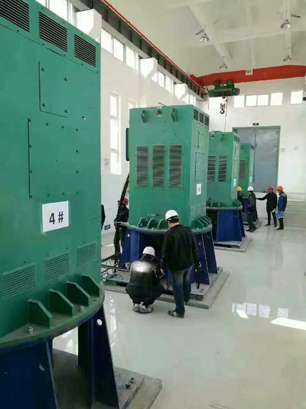 乌兰某污水处理厂使用我厂的立式高压电机安装现场